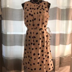 LOFT dress